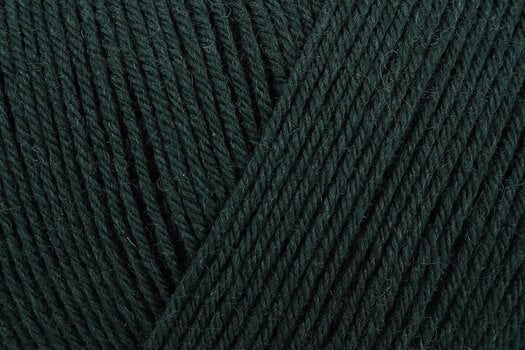 Knitting Yarn Regia Premium Pure 00072 Leaves Knitting Yarn - 2