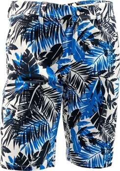 Shorts Alberto Earnie Revolutional Jungle Waterrepellent Blue 48 Shorts - 2