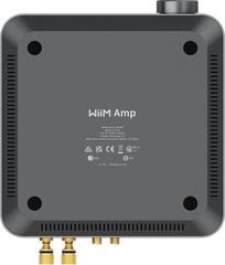 HiFi-Network-Player Wiim AMP PRO Silver HiFi-Network-Player - 4
