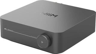 HiFi-Network-Player Wiim AMP PRO Space Gray HiFi-Network-Player - 1