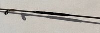 Savage Gear SG4 Shore Game Rod 2,46 m 7 - 21 g 2 partes