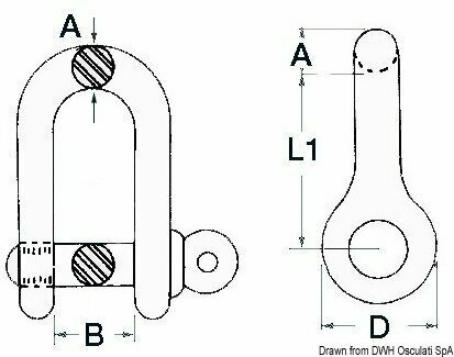 Schäkel Osculati D - Shackle Stainless Steel LONG with Captive Pin 8 mm - 2