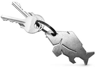 Nautische Schlüsselanhänger Delphin Key Chain/Bottle Opener CARPENER - 1