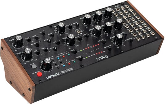 Synthesizer MOOG Labyrinth Synthesizer - 3