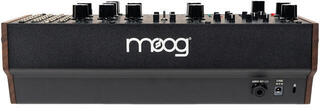 Synthesizer MOOG Labyrinth Synthesizer - 3