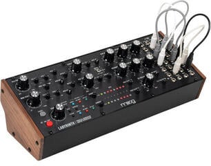 Synthesizer MOOG Labyrinth Synthesizer - 5