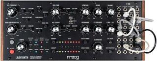 Synthesizer MOOG Labyrinth Synthesizer - 6