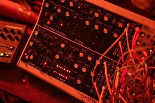 Synthesizer MOOG Labyrinth Synthesizer - 8