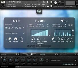 Sound Library für Sampler Soundiron Holy Ambiences (Digitales Produkt) - 2