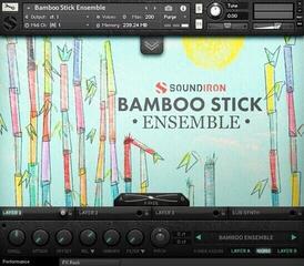 Bibliotecă de sunet pentru samplere Soundiron Bamboo Stick Ensemble (Produs digital) - 1