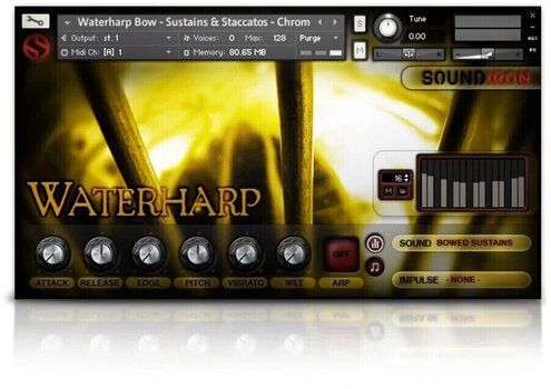 Muestra y biblioteca de sonidos Soundiron Waterharp (Producto digital) - 2