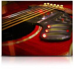 Biblioteca de samples/sons Soundiron Sick 5 (Produto digital) - 4