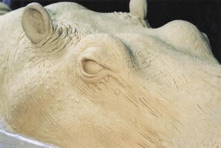 Profesionálna modelovacia hmota Plastiline Plasticine Hardness 50 Ivory - 1