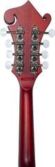 Mandoliini SX SMF840 Cherry Sunburst Mandoliini - 5