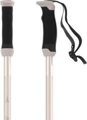 Ski-stokken Atomic AMT SQS W Sand - 3