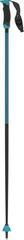 Ski Poles Atomic Redster X Carbon SQS Teal Blue - 1