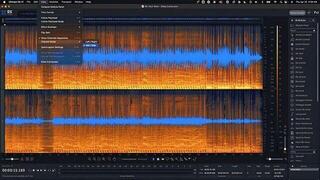 Programski FX procesor z vtičnikom iZotope RX 11 Advanced (Digitalni izdelek) - 1