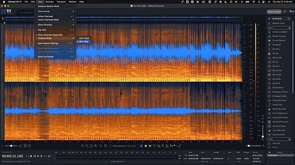 Logiciel de studio Plugins d'effets iZotope RX 11 Advanced (Produit numérique) - 2