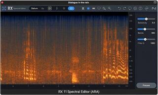 Effect Plug-In iZotope RX 11 Standard (Digital product) - 1