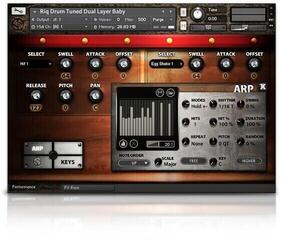 Audio biblioteka za sampler Soundiron Riq Drum (Digitalni proizvod) - 2