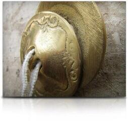 Audio biblioteka za sampler Soundiron Little Epic Percussion (Digitalni proizvod) - 1