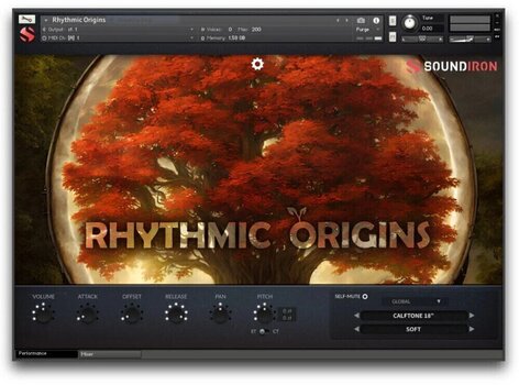 Zvuková knihovna pro sampler Soundiron Rhythmic Origins (Digitální produkt) - 4