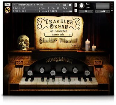 Geluidsbibliotheek voor sampler Soundiron Traveler Organ (Digitaal product) - 3