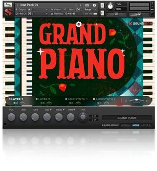 Geluidsbibliotheek voor sampler Soundiron Iron Pack 1 - Grand Piano (Digitaal product) - 2