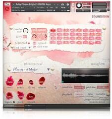 Библиотека със звукови ефекти Soundiron Voice of Wind: Adey (Дигитален продукт) - 3