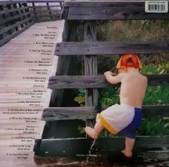 Disc de vinil Bob Seger & The Silver Bullet Band - Greatest Hits (2 LP) - 2