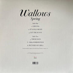 LP ploča Wallows - Spring (Green & Pink Coloured) (12" Vinyl) - 3