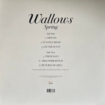 Vinyl Record Wallows - Spring (Green & Pink Coloured) (12" Vinyl) - 4