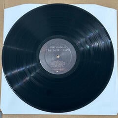 Płyta winylowa Ashley Mcbryde - Devil I Know (2 LP) - 1