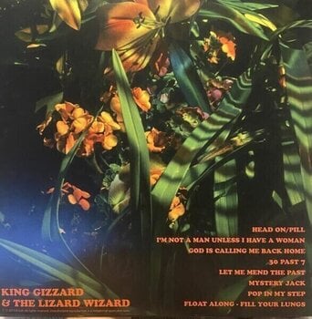 Vinyl Record King Gizzard & The Lizard Wizard - Float Along - Fill Your Lungs (Reissue) (Venusian Sky Coloured) (LP) - 3