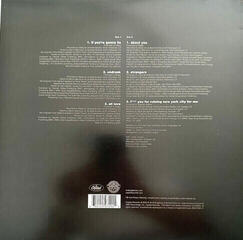 LP deska Fletcher - You Ruined New York City For Me (Red Coloured) (Reissue) (12" Vinyl) - 4