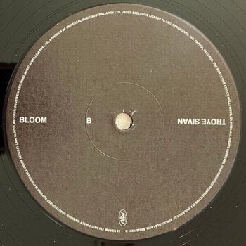 Vinylplade Troye Sivan - Bloom (LP) - 3