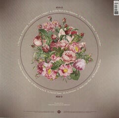 LP ploča Sierra Ferrell - Long Time Coming (LP) - 2