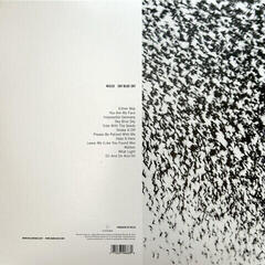 Vinyl Record Wilco - Sky Blue Sky (2 LP) - 5