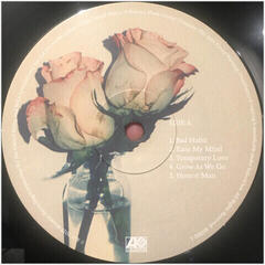Δίσκος LP Ben Platt - Sing To Me Instead (LP) - 1