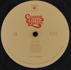 Disc de vinil Cannons - Fever Dream (LP) - 2