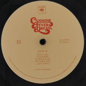 LP Cannons - Fever Dream (LP) - 3