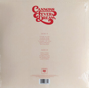 Schallplatte Cannons - Fever Dream (LP) - 4