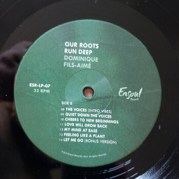 Vinyl Record Dominique Fils-Aimé - Our Roots Run Deep (LP) - 2