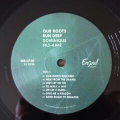LP ploča Dominique Fils-Aimé - Our Roots Run Deep (LP) - 3