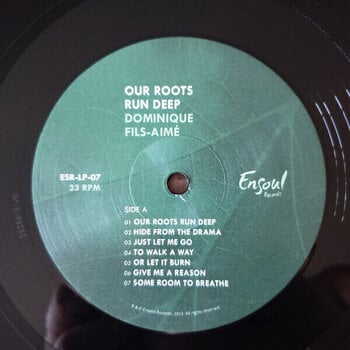 Δίσκος LP Dominique Fils-Aimé - Our Roots Run Deep (LP) - 3