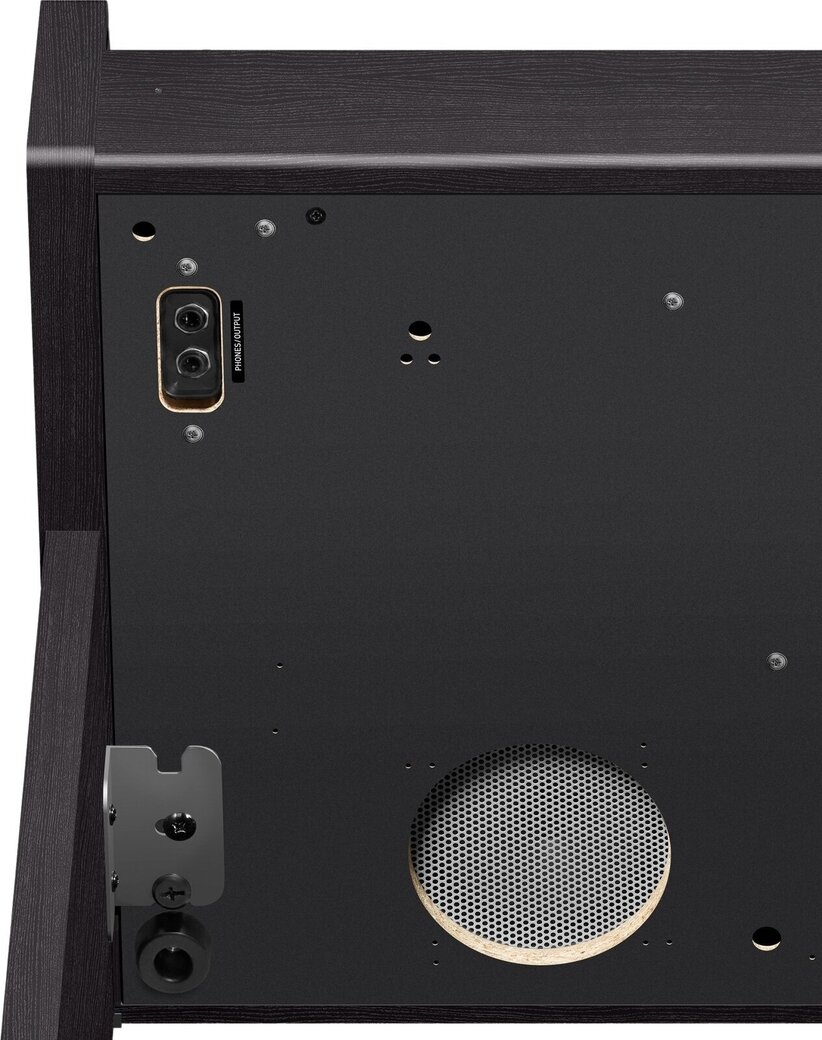 Eingebauter Lautsprecher