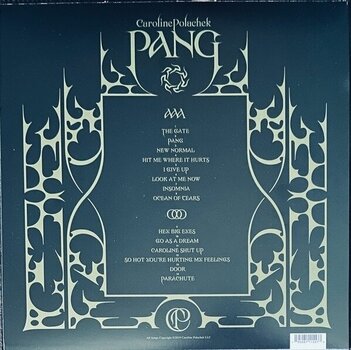 Disc de vinil Caroline Polachek - Pang (LP) - 2