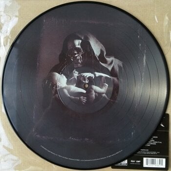 Грамофонна плоча Megadeth - Youthanasia (Picture Disc) (Reissue) (180 g) (LP) - 3