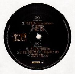 Vinyl Record Hozier - Hozier (2 LP + CD) - 6
