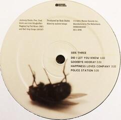 Schallplatte Red Hot Chili Peppers - I'm With You (Reissue) (Repress) (2 LP) - 4